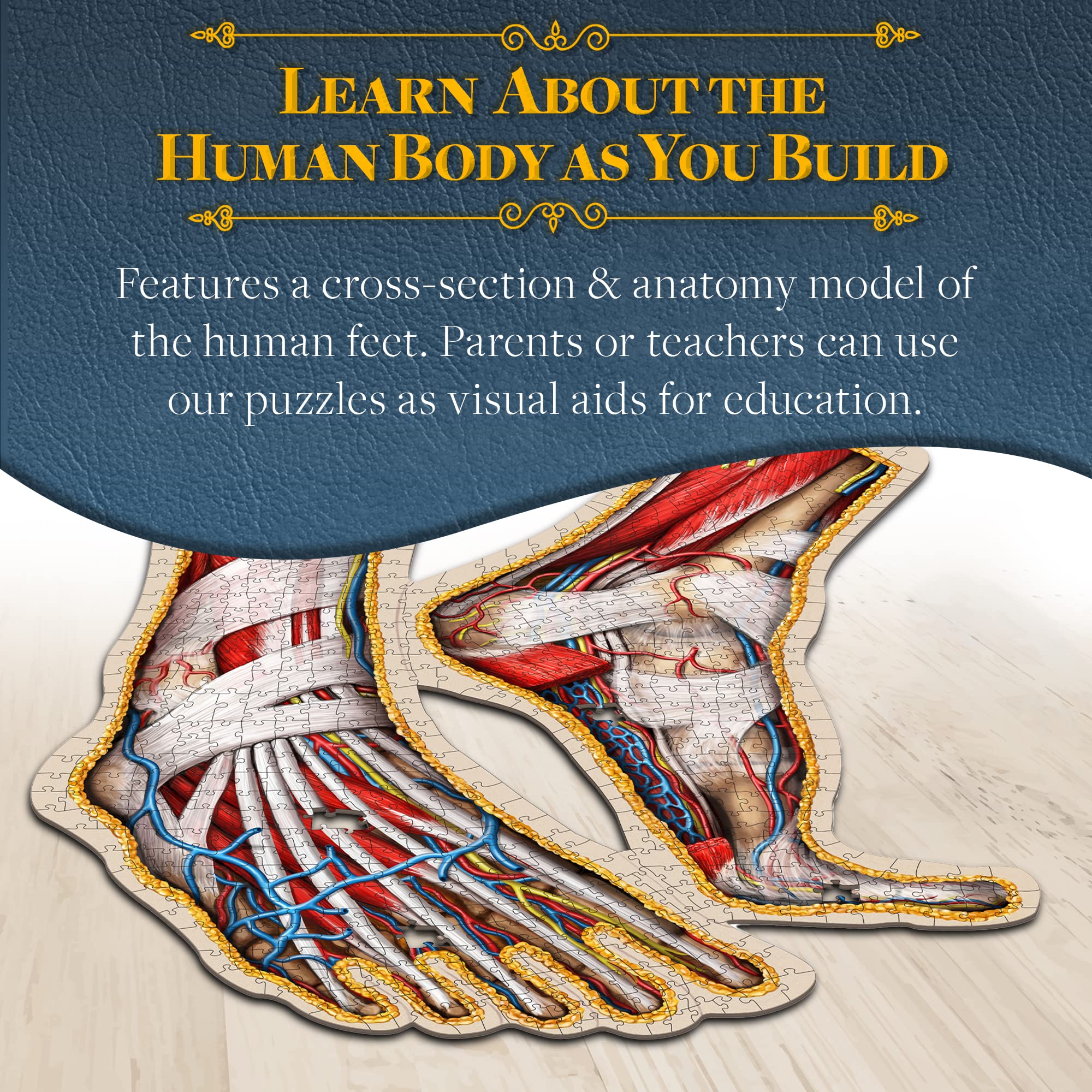 Genius Games foot puzzle wall display-ready design suits classrooms and clinics.