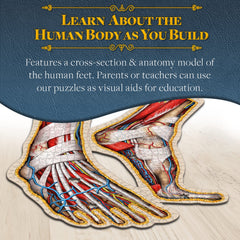 Genius Games foot puzzle wall display-ready design suits classrooms and clinics.