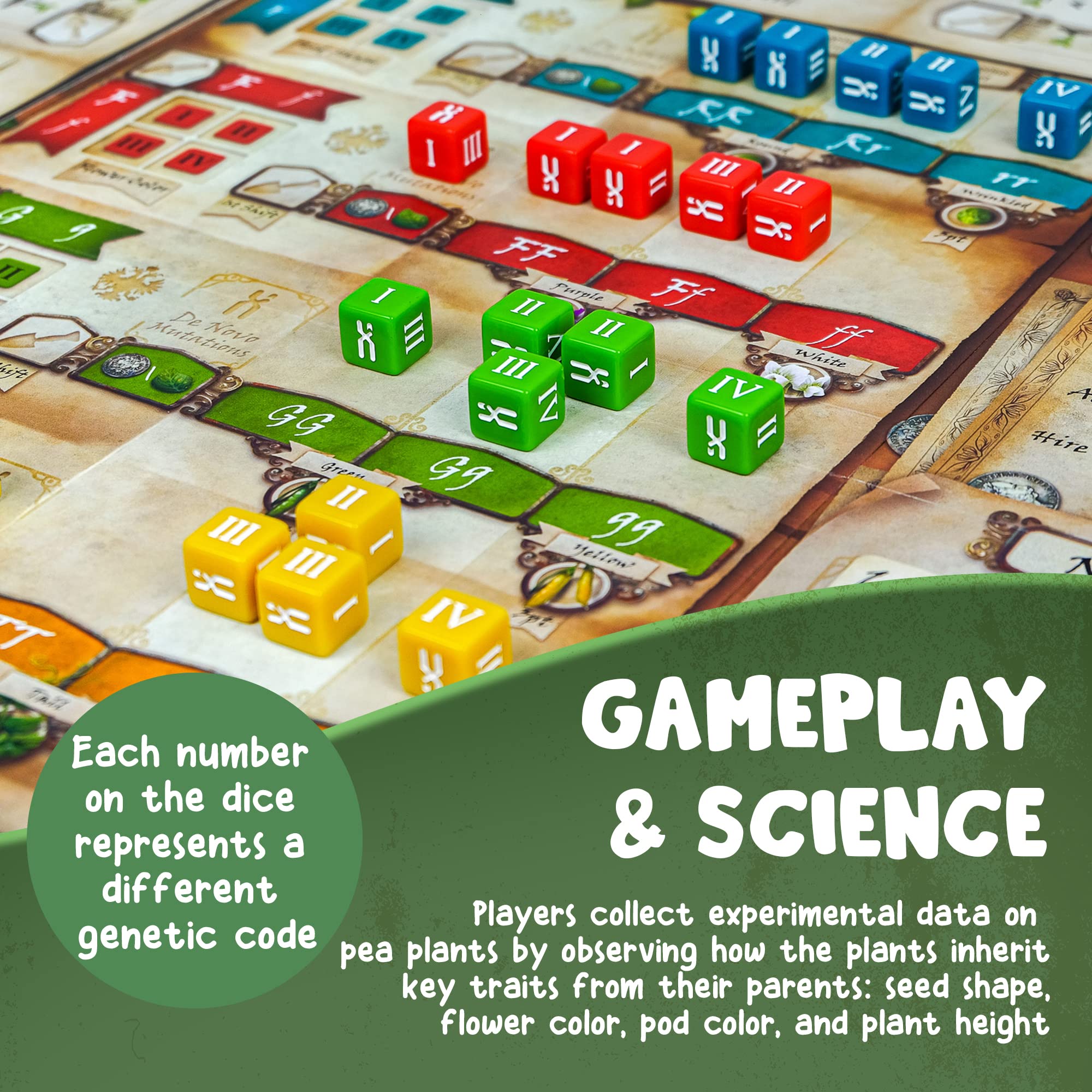 Genius Games Genotype solo mode provides a distinct, independent challenge.
