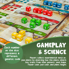 Genius Games Genotype solo mode provides a distinct, independent challenge.
