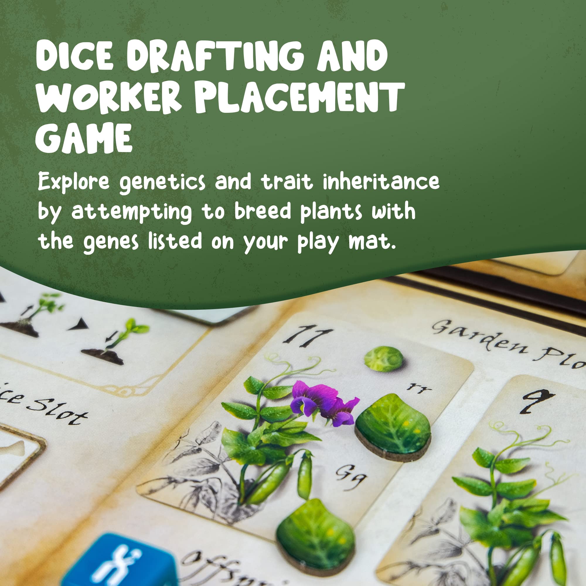 Genius Games Genotype tool cards accelerate strategy and resource access.