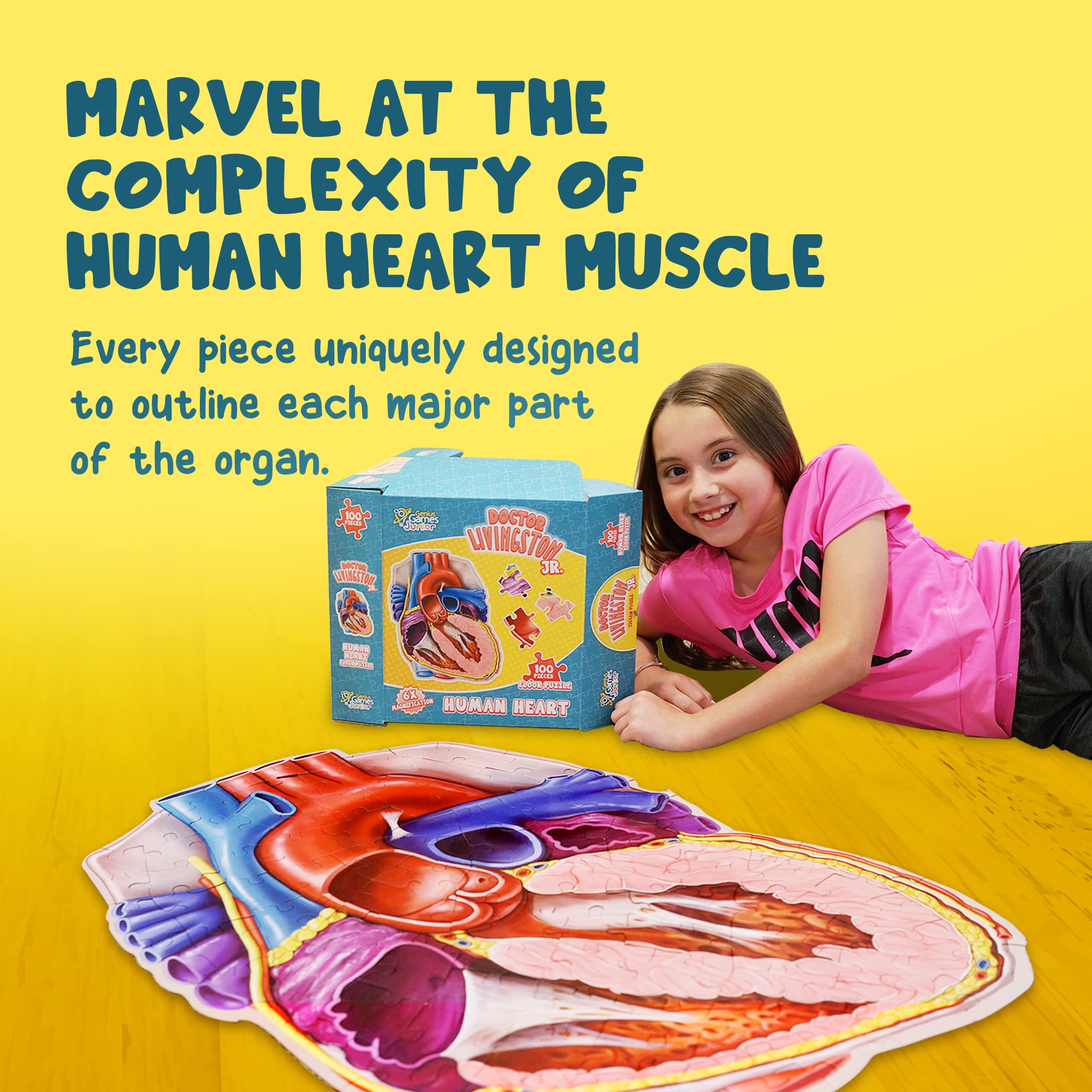 Genius Games heart puzzle model fosters tactile assembly and recognition.