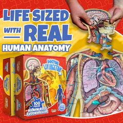 Genius Games human anatomy floor puzzle 4ft scale supports engaging home or school study.