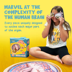 Kids assembling the Genius Games brain puzzle in a classroom