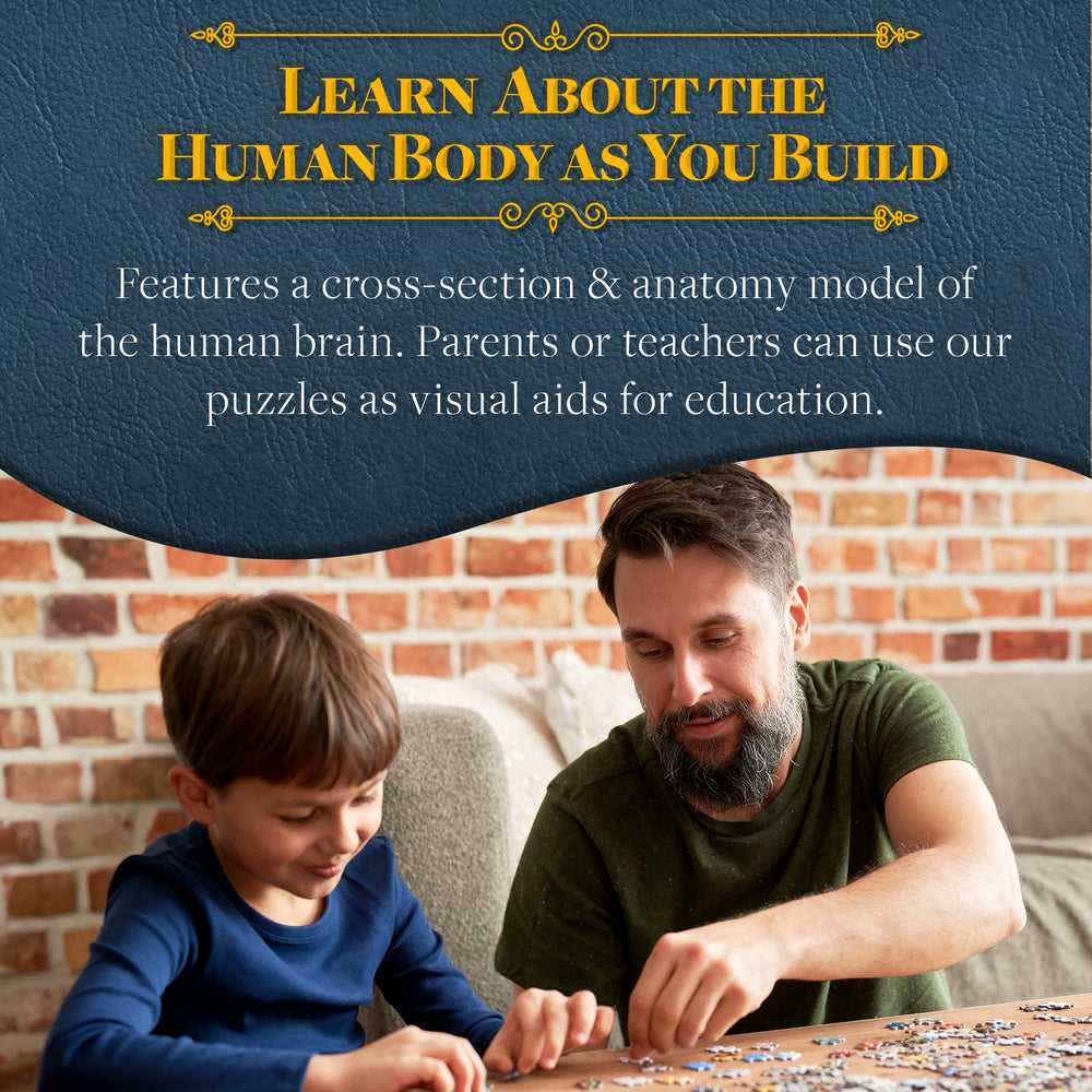 Genius Games neural pathways puzzle set encourages hands-on study of connections.