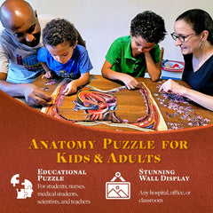 Genius Games packaged-instructional-guide aids easy setup and exploration.