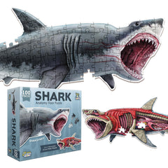 Genius Games Shark artwork visual engages kids with vibrant ocean life.