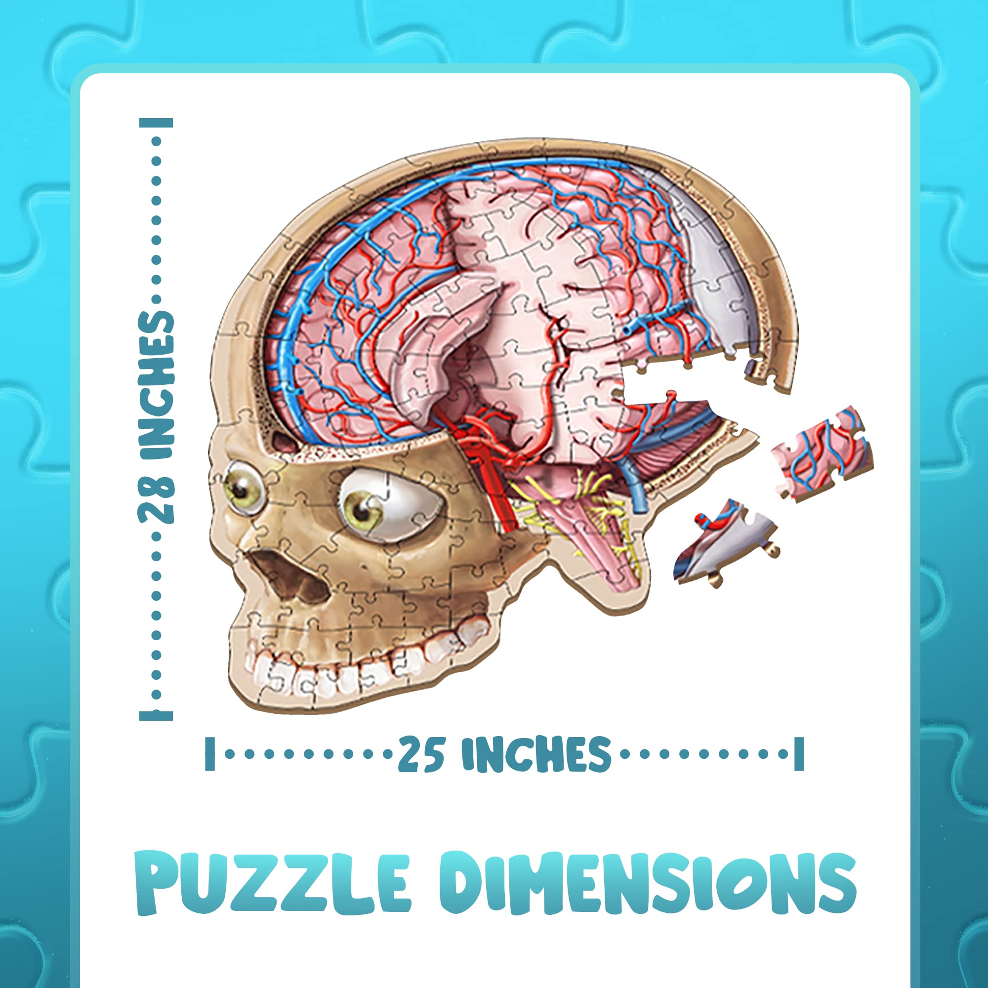 Brain puzzle displayed on wall as an educational centerpiece