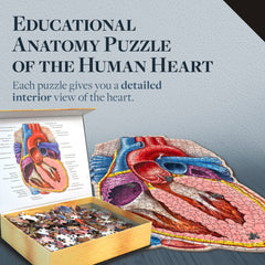 Genius Games wall-display heart puzzle when finished creates a dramatic classroom exhibit