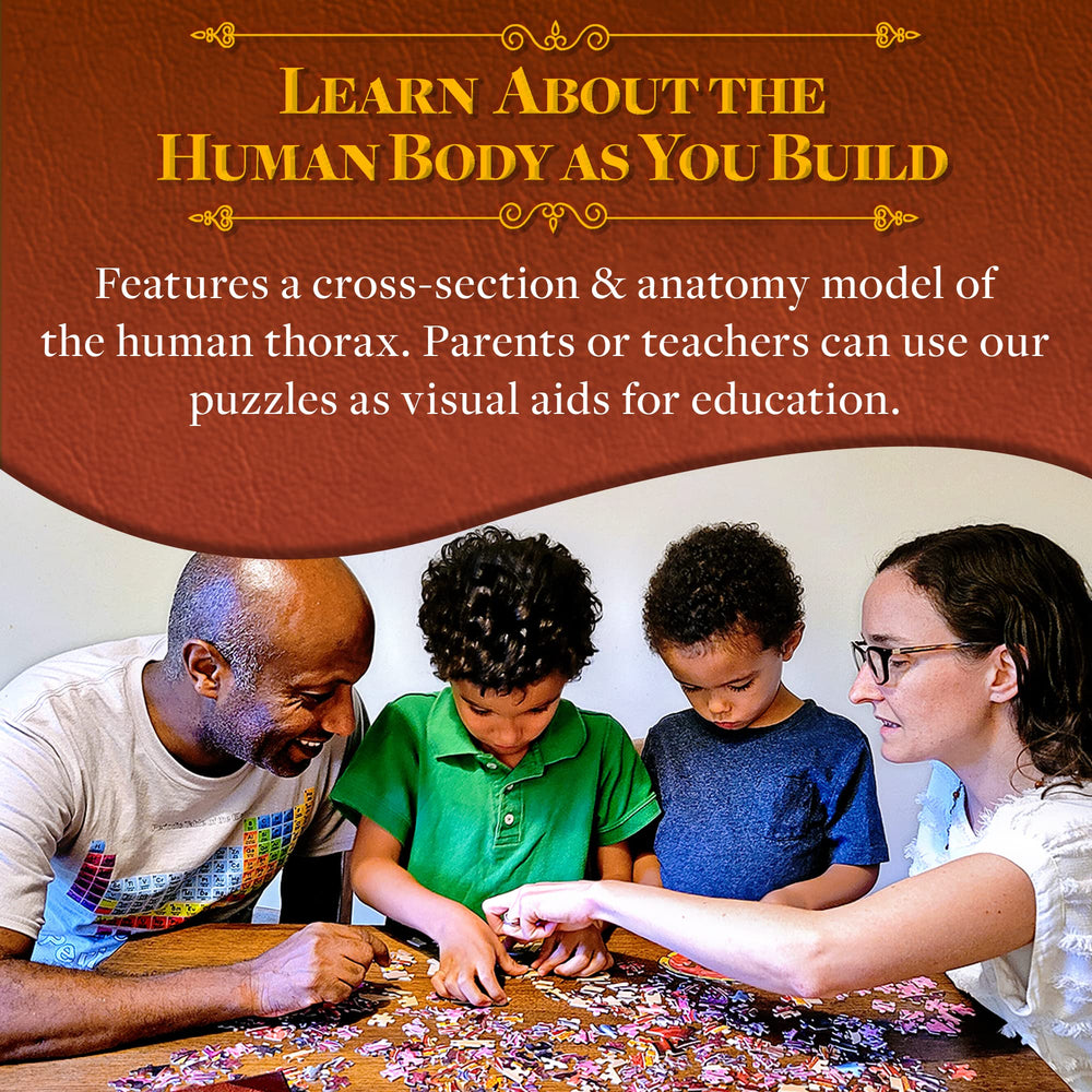 Genius Games wall-display-ready image demonstrates durable display in classrooms or clinics.