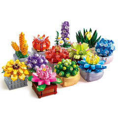 GEVINST succulents set-12-plants perfect for vibrant home decor.