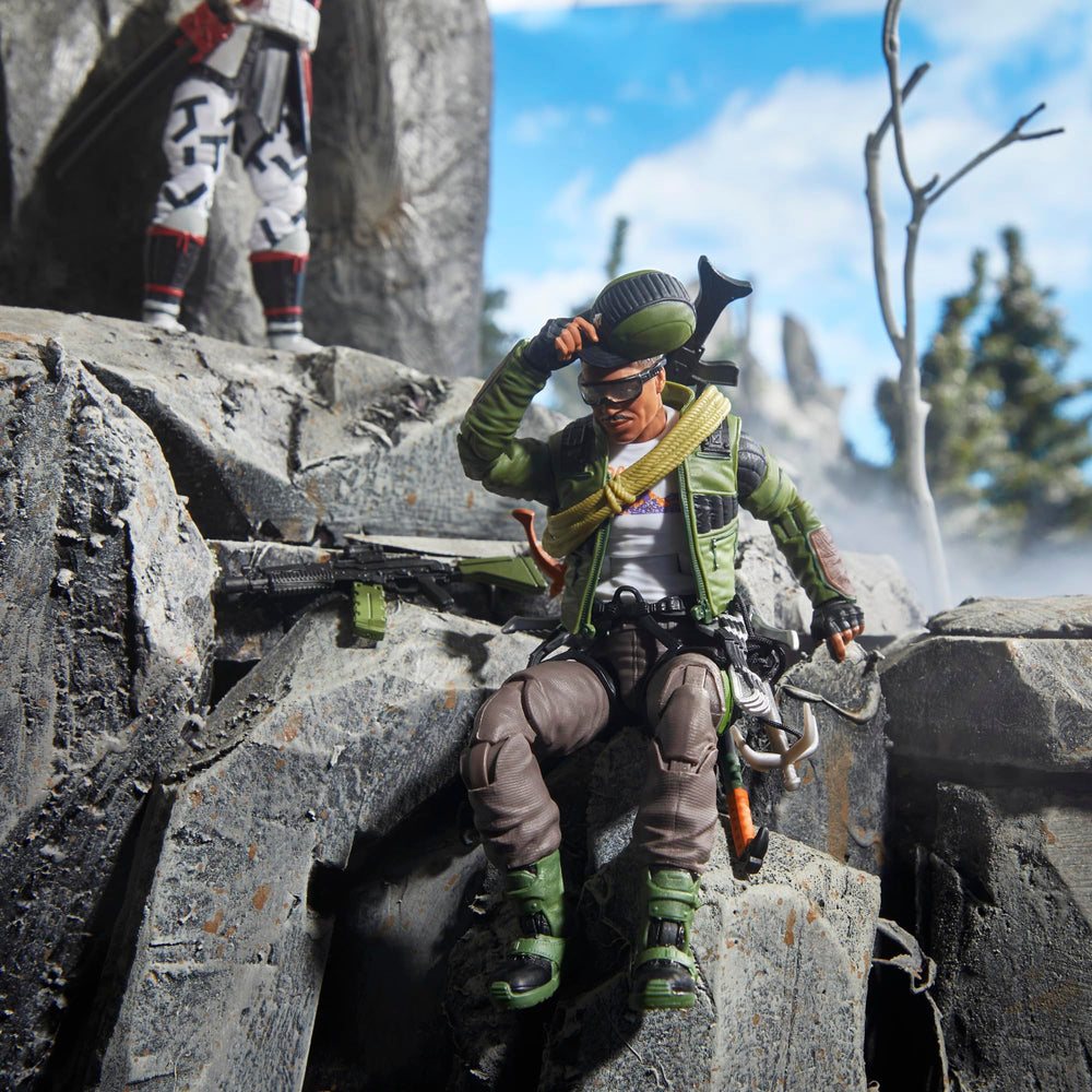 Grapple gun with detachable hook accessory for Alpine Pine