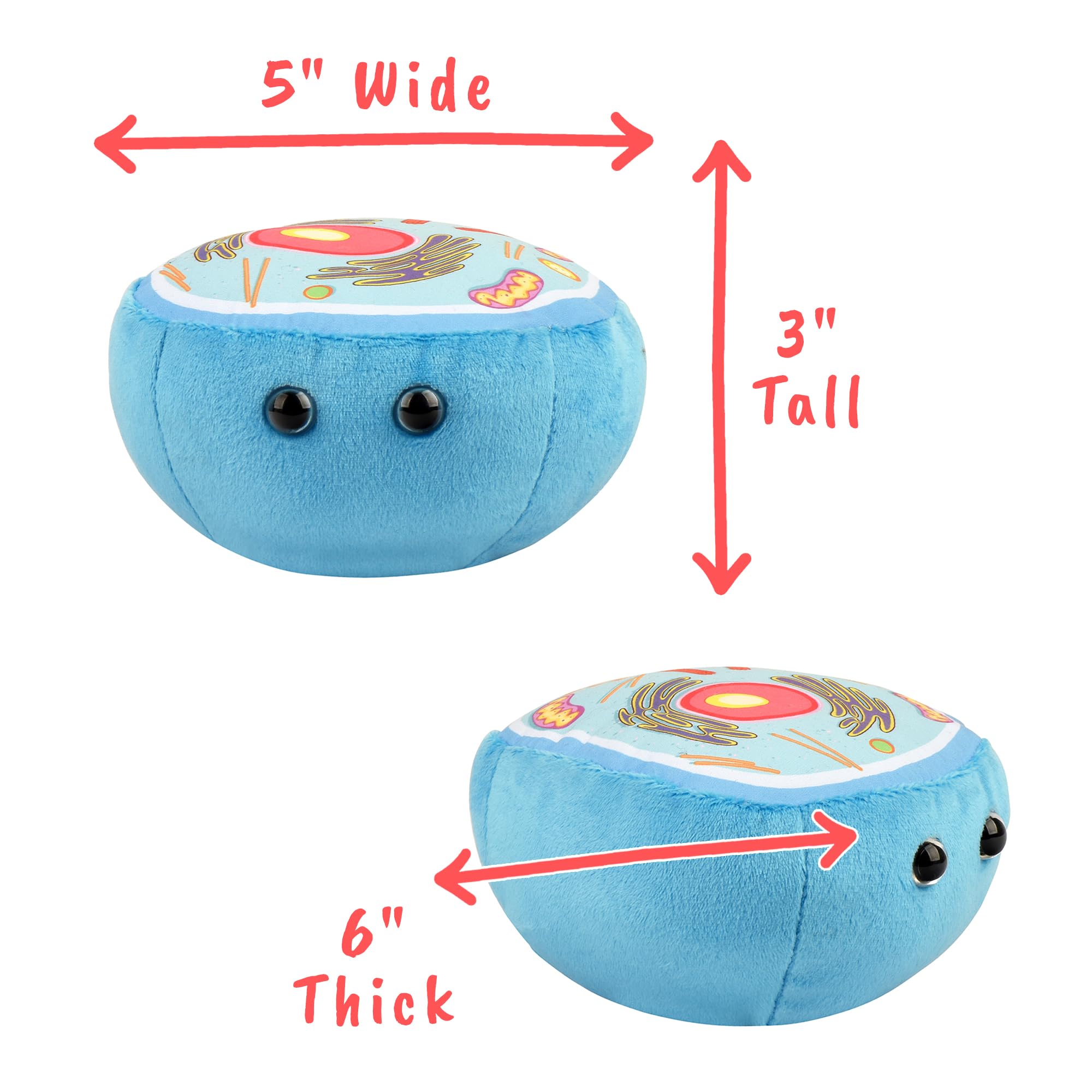 GIANT MICROBES endoplasmic-reticulum plush supports protein synthesis exploration.