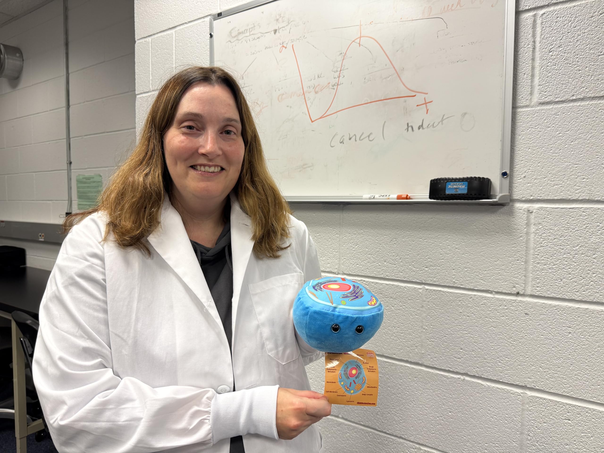 GIANT MICROBES Golgi apparatus plush aids packaging and transport concepts.