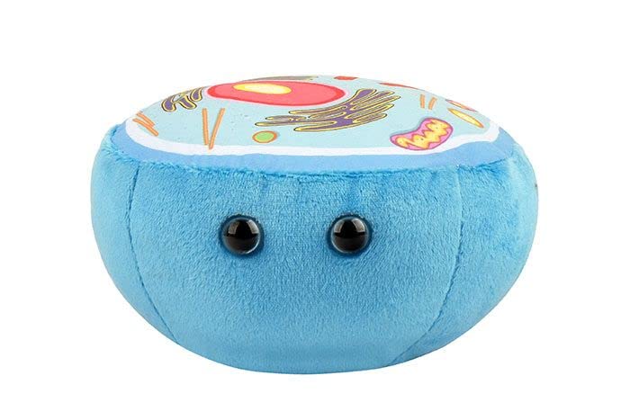 GIANT MICROBES animal cell plush with nucleus for hands-on biology learning.