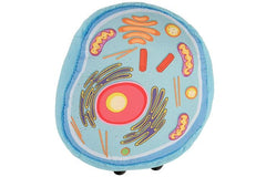 GIANT MICROBES ribosome plush assists translation concept in the classroom.