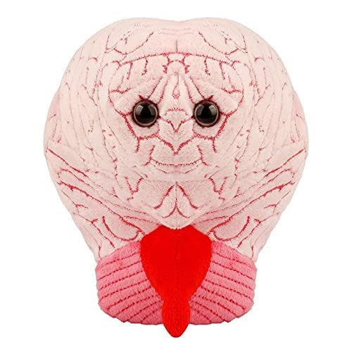GIANT MICROBES Brain Plush brainstem embroidery accent for learning.