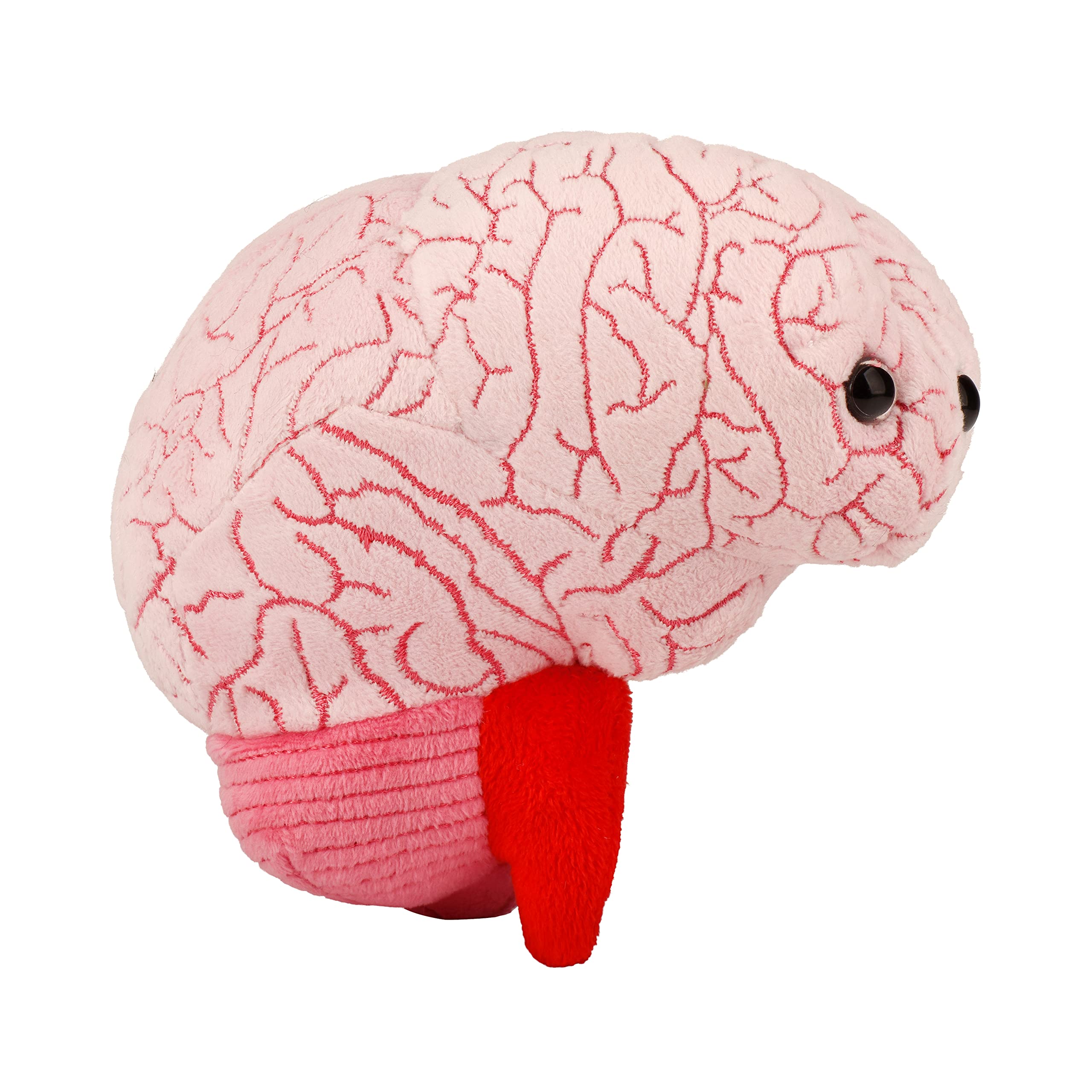 GIANT MICROBES Brain Plush front view, a cuddly educational brain model.