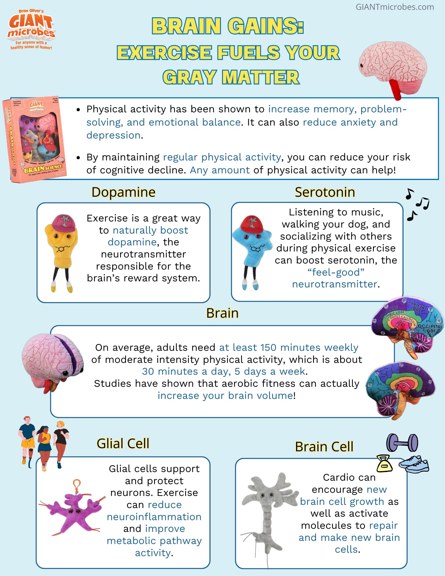 GIANT MICROBES Brain Plush ideal gift for students and learners.