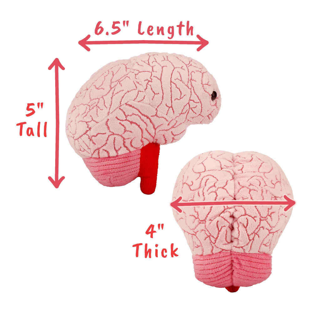 GIANT MICROBES Brain Plush information card included with brain facts.