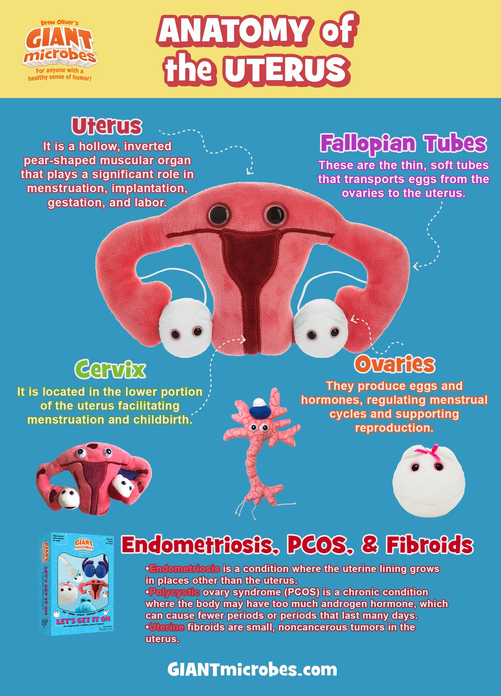 GIANT MICROBES educational anatomy model for teachers and students.
