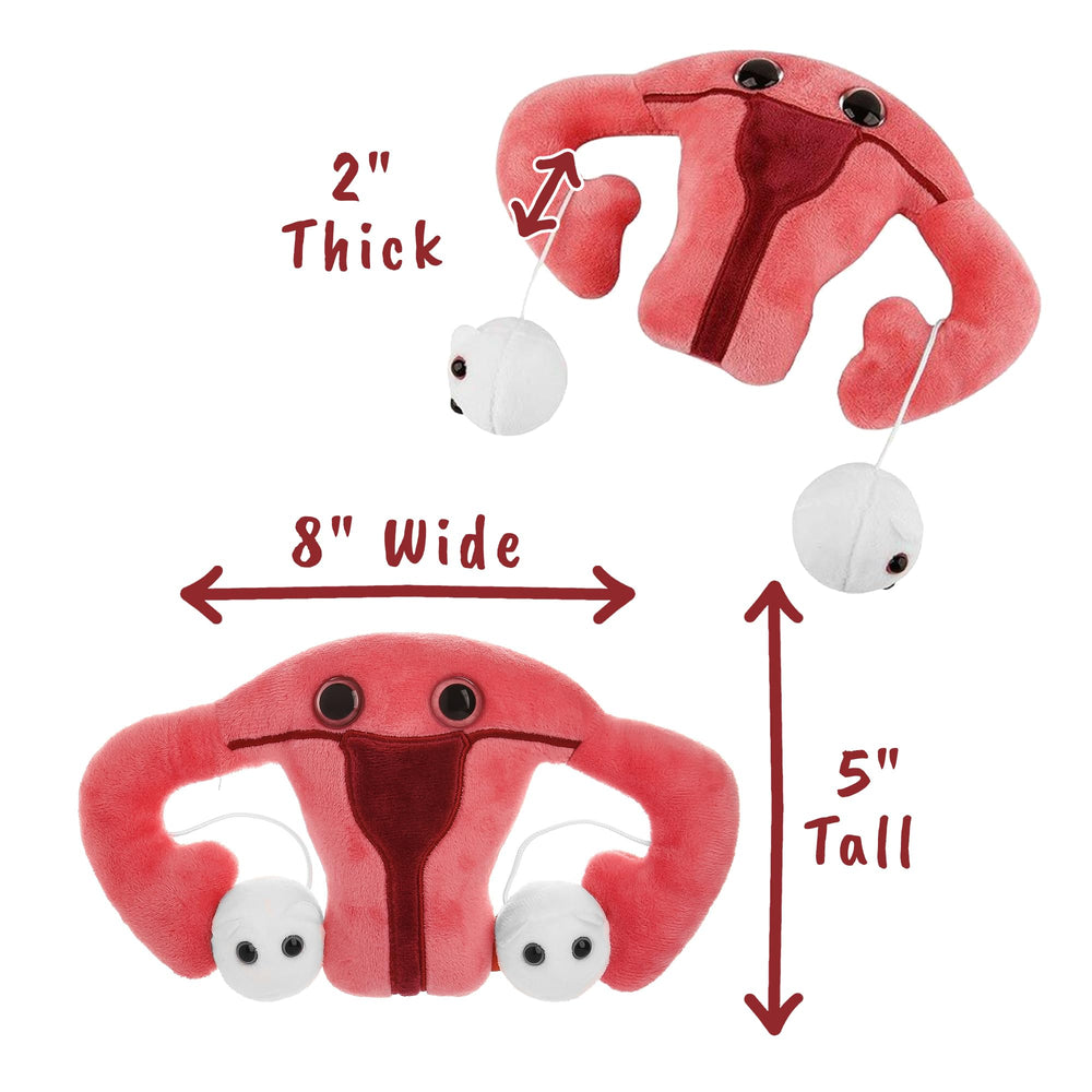 GIANT MICROBES uterus plush serves as an emotional support companion.