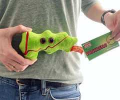 GIANT MICROBES Pancreas Plush ideal get-well gift after medical procedures.