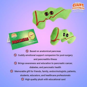 GIANT MICROBES Pancreas Plush sized at 6.5 inches for desks and shelves.