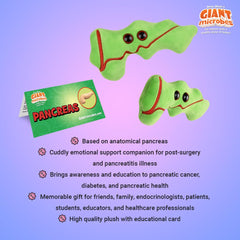 GIANT MICROBES Pancreas Plush sized at 6.5 inches for desks and shelves.