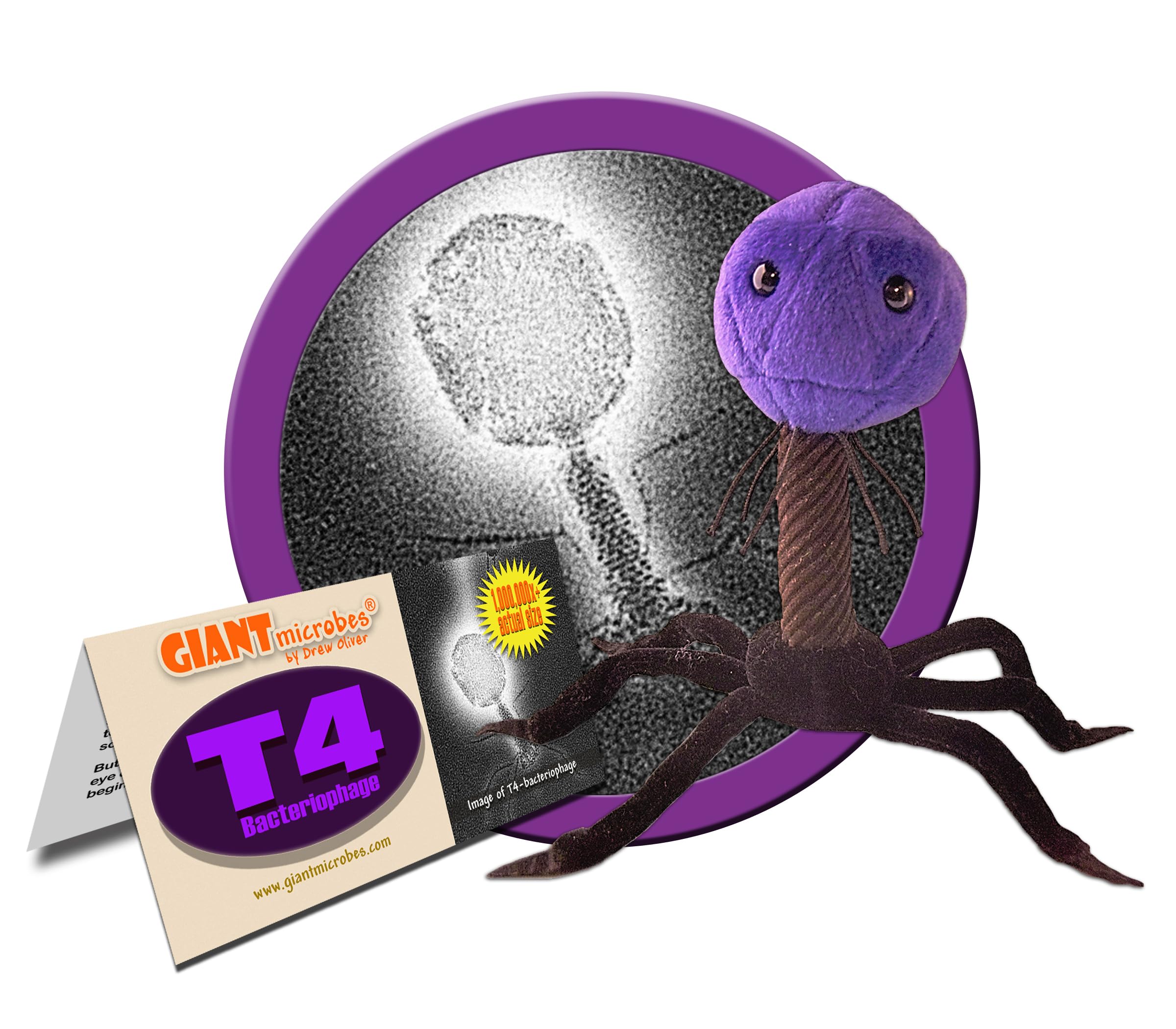 GIANT MICROBES T4-Bacteriophage plush legs poseable design enables hands-on classroom demos.