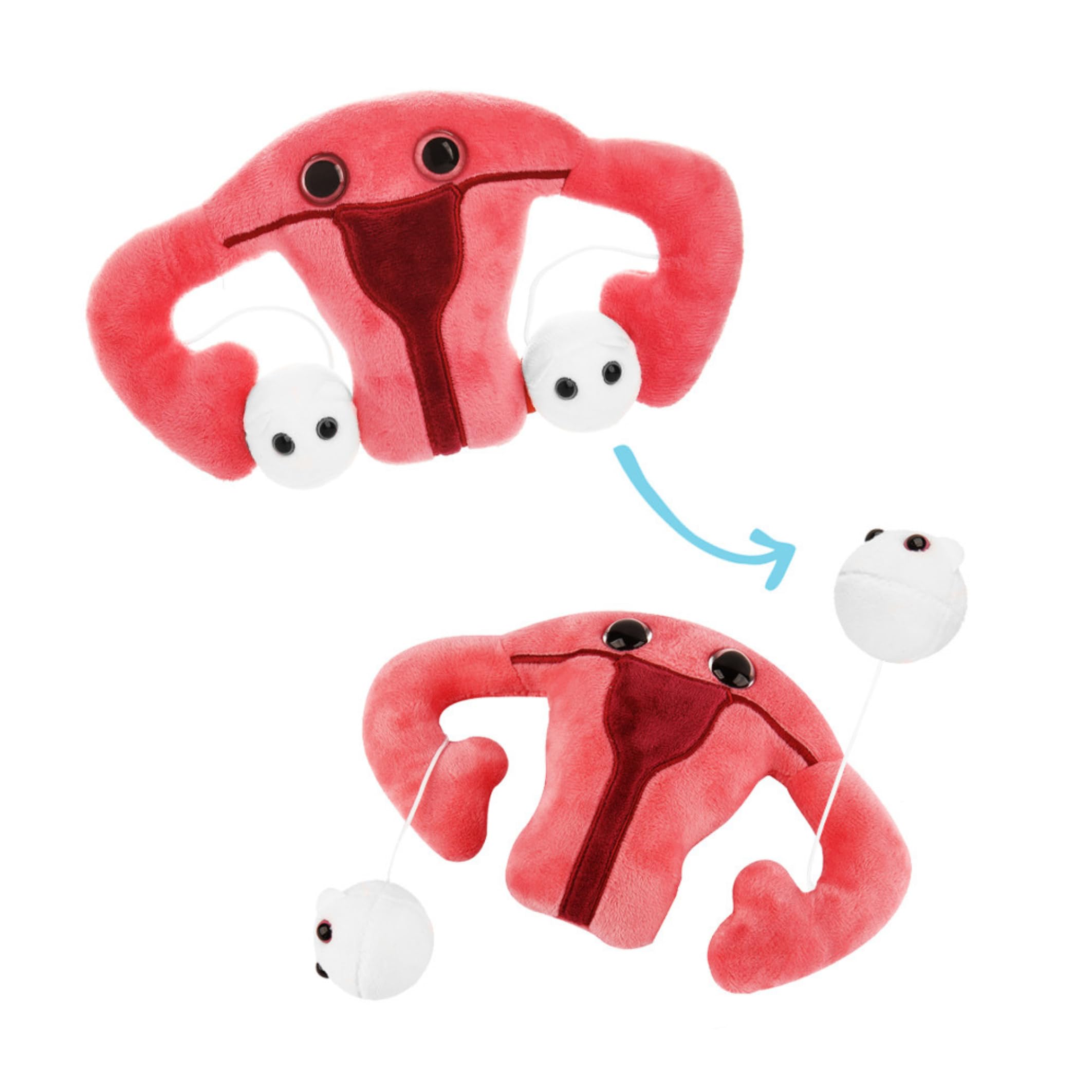 GIANT MICROBES uterus plush toy is soft and huggable for learning.