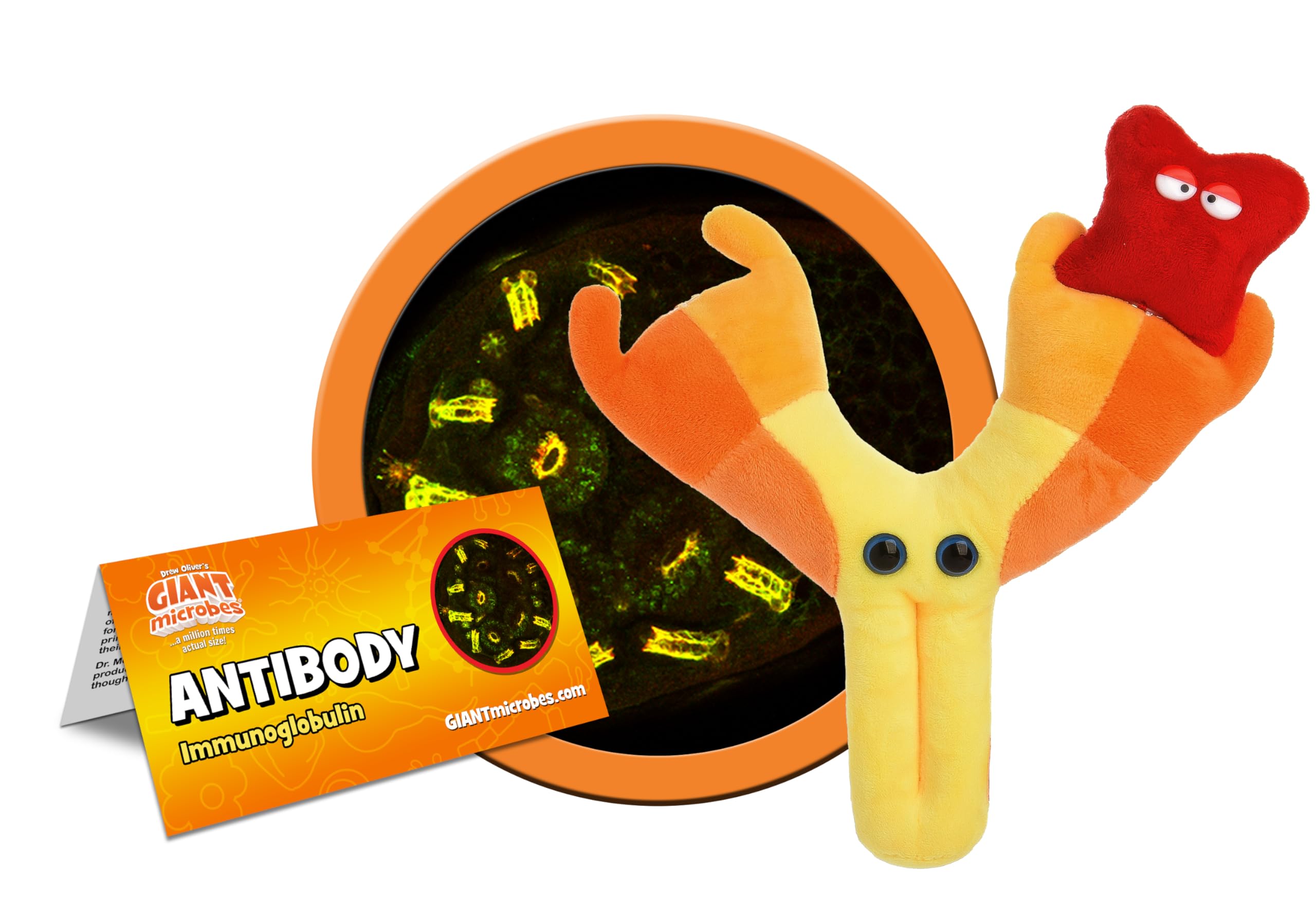 GIANTMICROBES antibody plush with info card supports classroom and lab discussions.