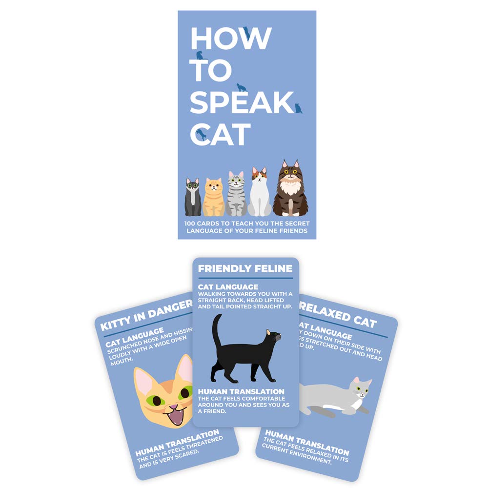 Gift Republic How To Speak Cat 100 Cards unboxing shows the kit ready for learning
