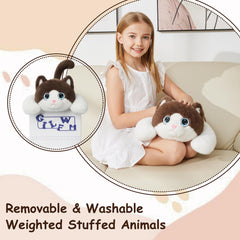 GILFWM weighted cat gift box packaging ideal for gifts.