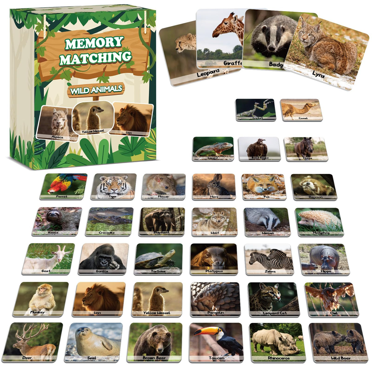 gisgfim 50-pairs memory cards wild animals layout for playful learning and focus.