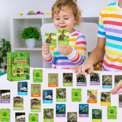 gisgfim durable cardboard construction supports repeated use in classrooms