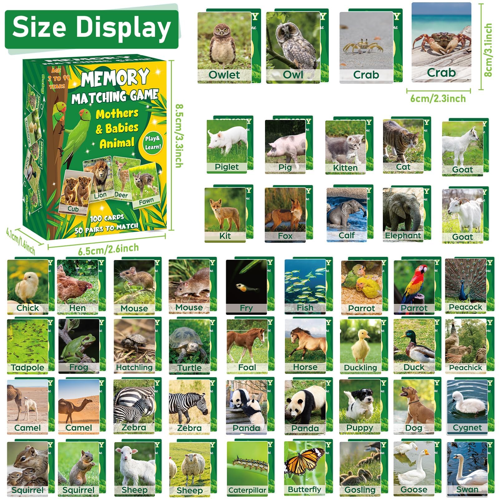 gisgfim kitten and mother cat memory card for matching and concentration practice