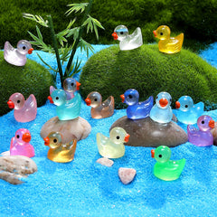 GliSun ducks for crafting and garden decoration