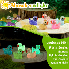 GliSun resin ducks with detailed surface texture for crafts