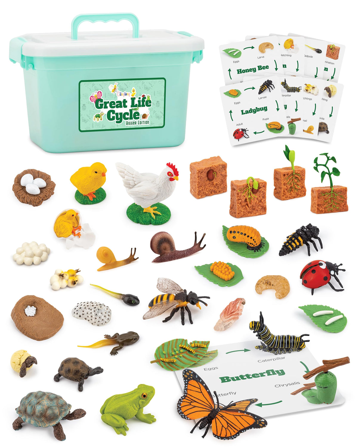 GLINGLONG Life Cycle Animal Kit butterfly figures for hands-on early science exploration.