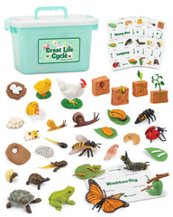 GLINGLONG Life Cycle Animal Kit butterfly figures for hands-on early science exploration.