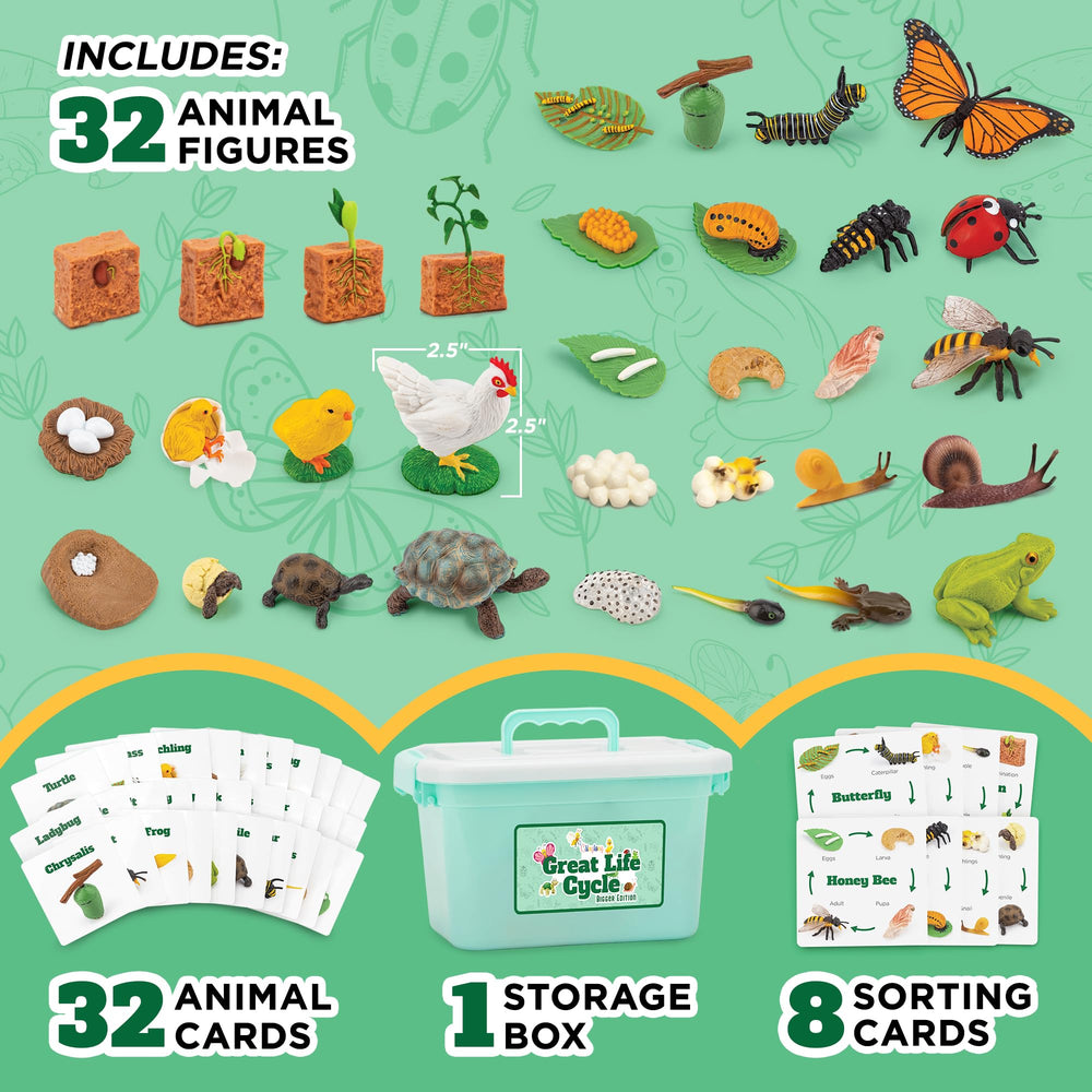 GLINGLONG Life Cycle Animal Kit frog figures support sequencing practice during play.
