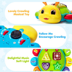 GMAOPHY safe ABS material ladybug toy with smooth edges for safe handling.