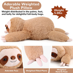 Gnomantic sloth soft fur closeup shows plush texture and inviting hug.