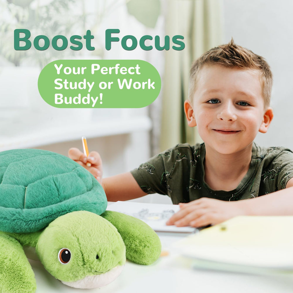 gnomantic turtle plush suitable for kids and adults seeking cozy companionship