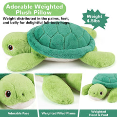 gnomantic weighted turtle face detail adds a friendly, inviting look
