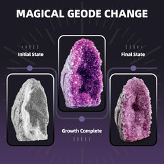 GobiDex Geodes mineralogy exploration kit inspires curiosity through hands-on geology.