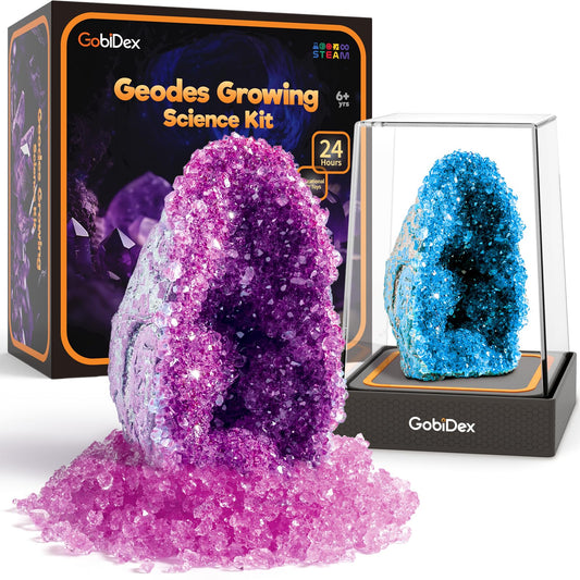 GobiDex Geodes 24h rapid growth display with crystal formation for kids.
