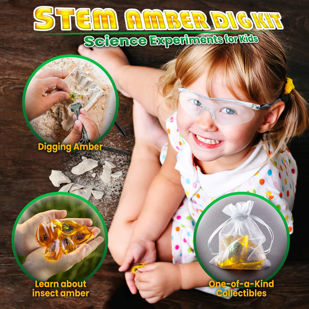 GobiDex Amber Dig Kit classification guide supports hands-on learning.