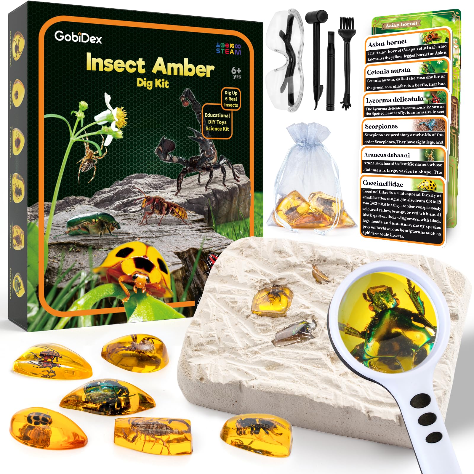 GobiDex Amber Dig Kit packaging shows educational appeal for curious kids.